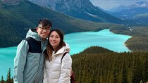 Peyto Lake, Bow Lake Lake Louise Moraine Lake Half Day Tour
