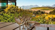 Stellenbosch and Franschoek Winelands Full-Day Wine Tasting Tour