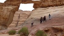 Full Day Jeep tour + all meals & Overnight Bedouin camp 