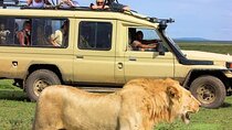 Nairobi National Park 4WD Tour Experience