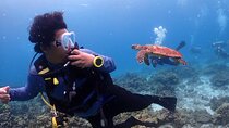 Phuket Scuba Diving Racha Islands for All Level Divers