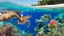 All Inclusive Bali Blue Lagoon Snorkeling Adventure