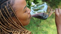 Kigali Wine Tasting Experience