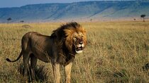 9 Day Kenya Safari Visit Top National Parks