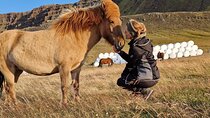 Private Farm Experience & Silver Circle Day Tour in West Iceland