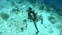 Scuba Diving Adventure in Riviera Maya Small Group Experience