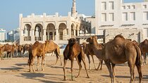 2 Days Qatar Highlights Cultural and Natural Wonders Tour