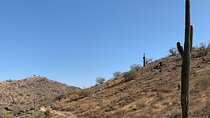  Phoenix South Mountain Hiking Tour Experience