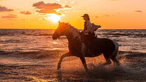 Horseback riding in Punta Cana