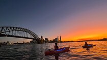 Sunset Paddle Session on Sydney Harbour