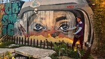 Austin Mural and Instagram Tour by Electric Pedicab