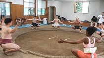 Sumo Experience Authentic Immersive Hands-on Tokyo Meet Sanctuary
