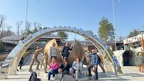 Korea DMZ Private Tour with War Memorial Tour as Service