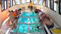 Glass Boat Sea Trip 1 hour With Parasailing - Sharm El Sheikh