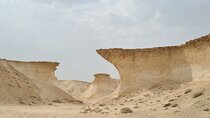 West Coast Zekreet Tour Explore Qatar's Natural Wonders