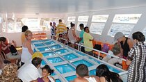 Glass Boat 1 Hour Sea Trip with Transfers: Sharm El Sheikh