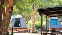 2 Day Tlou Tented Safari Camp in Pilanesberg