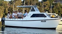 No licence Self Drive Boat Hire Sydney Harbour