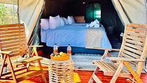 Experience Nature at the 3 Day Tlou Tented Safari Camp