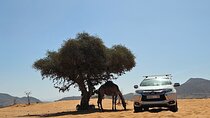 4x4 Day Trip to Massa from Agadir – Oasis, Desert & Culture