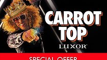 Carrot Top at the Luxor Hotel and Casino