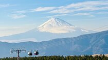 Hakone Private Tour from Tokyo with Lake Ashi Cruise & Onsen
