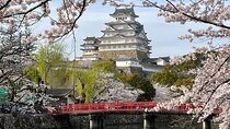 Himeji Castle and Kobe Luxury Day Tour with Guide From Osaka