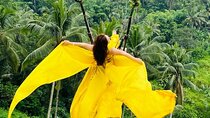 Ubud Adventure All Inclusive Private Day Tour