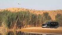 Dubai: Desert Conservation Drive with Breakfast at Al Maha Resort