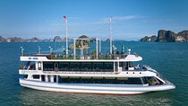 Hanoi: 5-Star Sea Lion Luxury Day Cruise in Halong, Buffet Lunch