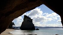 Cathedral Cove & Coromandel Private Experience from Auckland