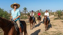 Exclusive Horseback Journey in Marrakech Palmeraie Oasis