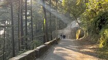 Mussoorie City Full Day Guided Tour