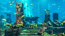 Access to Dubai Aquarium and Underwater Zoo