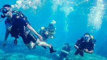 Personalized Snorkeling and Diving Experience in Riviera Maya
