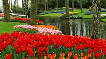 Keukenhof and Leiden Private Tour