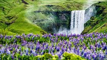 Best of Iceland 6-Day Stopover Tour