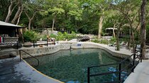 Rincón de la Vieja Rainforest Hot Springs Experience