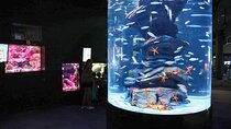 Aquarium de Paris Priority Access Tickets