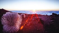 Haleakala Volcano & Ocean Vodka Sunset Tour