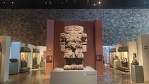 Private tour of the Museum of Anthropology in Mexico City