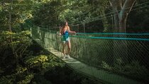 Rincón de la Vieja Explore the Rainforest Hanging Bridges