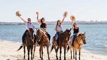 2Hours Horse Ride at Nabq Bay Beach and Transfers–Sharm El Sheikh