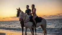 Horse Ride 2hr Sunrise Sea & Desert with Transfer - Hurghada