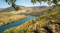 Private Douro Valley Tour 2 Wineries Cruise and Lunch