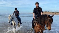 Experience Horse Riding in Nabq with Transfer - Sharm El Sheikh