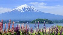 Mt. Fuji Day Trip Arakurayama Sengen and Instagrammable Lawson
