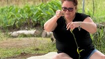 Hawaiian Culture Experience with Lei Making on Big Island