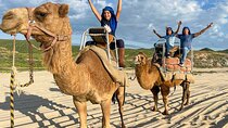 Small Group Private Camel Ride and Beach Adventure in Migrino
