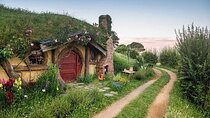 Private Tour from Auckland Hobbiton Movie Set and Te Puia Magic